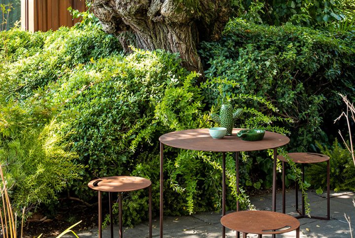 collezione-the-biscotto-BL5I3033
